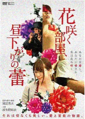 汉江以北剧集海报